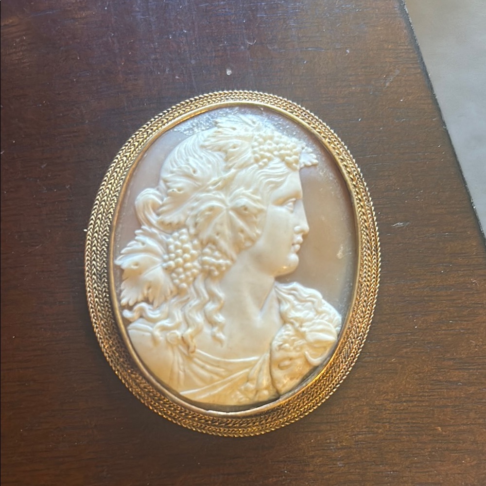 Vintage Cameo Brooch with Gold Trim